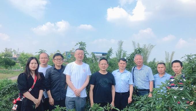 芗村（重庆）农业科技研究院赴荣昌考察花椒基地
